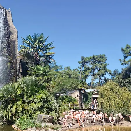 Gorgeous In بيت للعطل